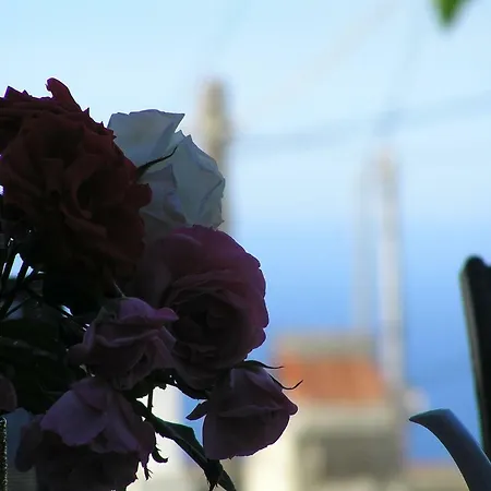 Villa Olga Agalianos